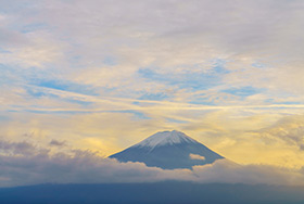 游戲官網設計網站建設的幾個特點是什么?