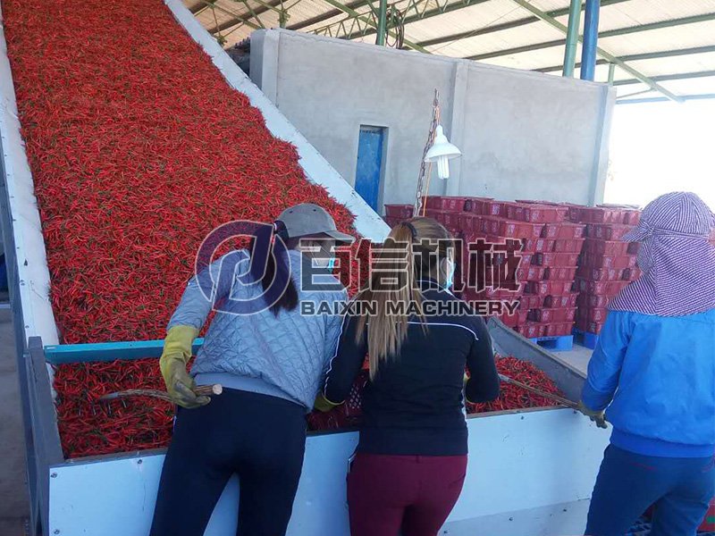 <b>果蔬脫水加工用什么干燥設(shè)備？ </b>