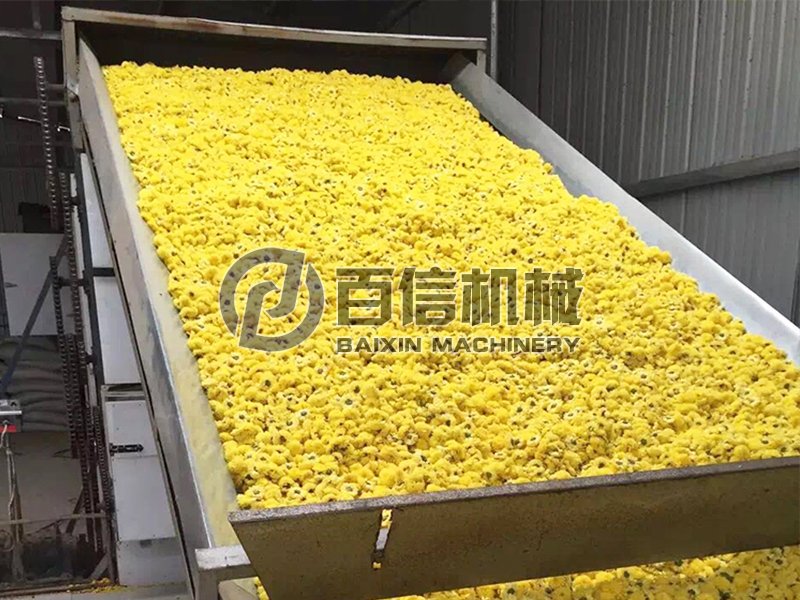 皇菊烘干機(jī)-皇菊烘干設(shè)備-皇菊