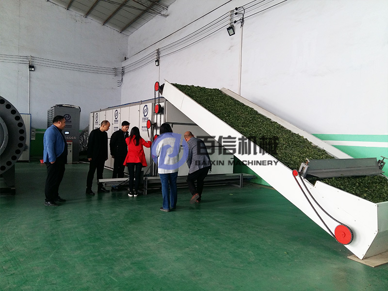 食葉草烘干機(jī)