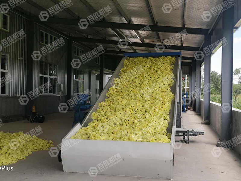 金花葵烘干機(jī)-金花葵烘干設(shè)備