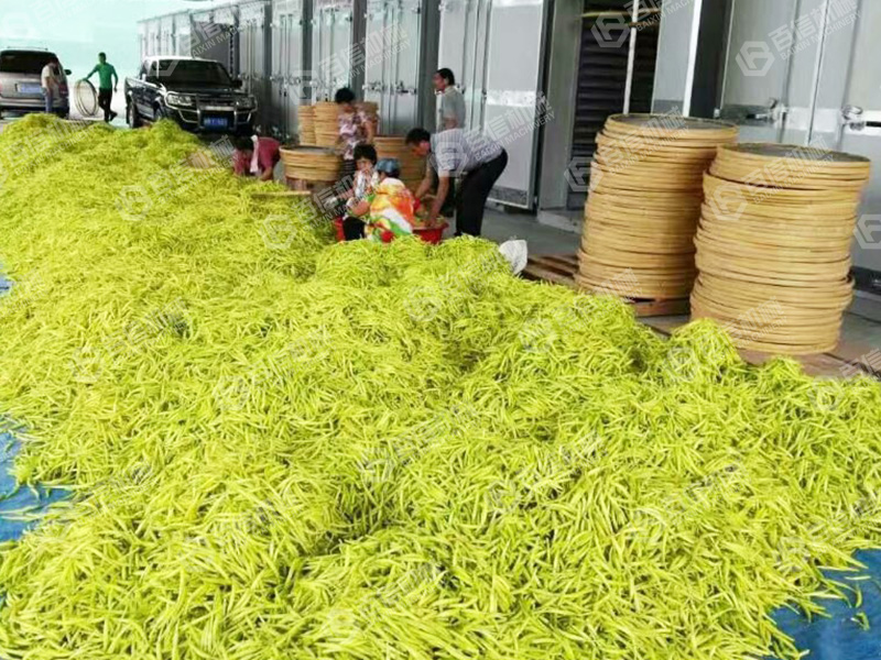 黃花菜烘干機(jī)-黃花菜烘干機(jī)設(shè)