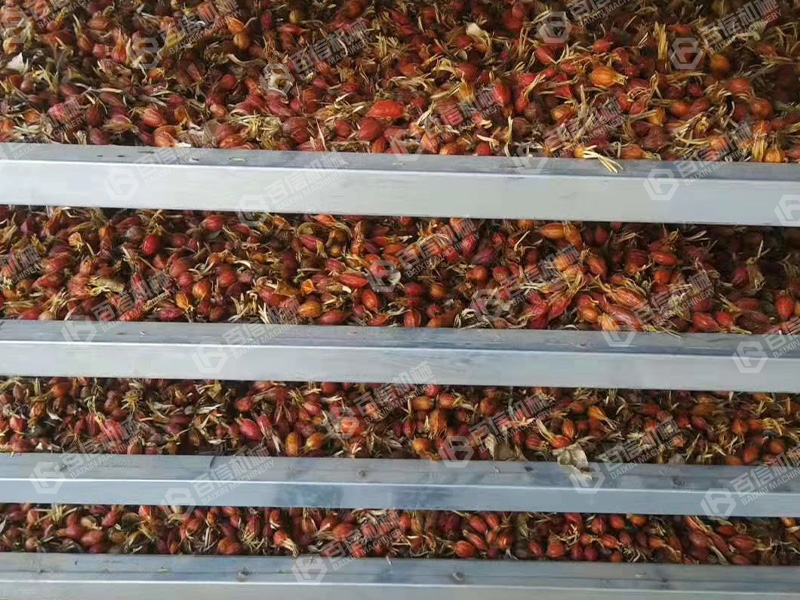 梔子烘干機(jī)-梔子烘干設(shè)備-梔子