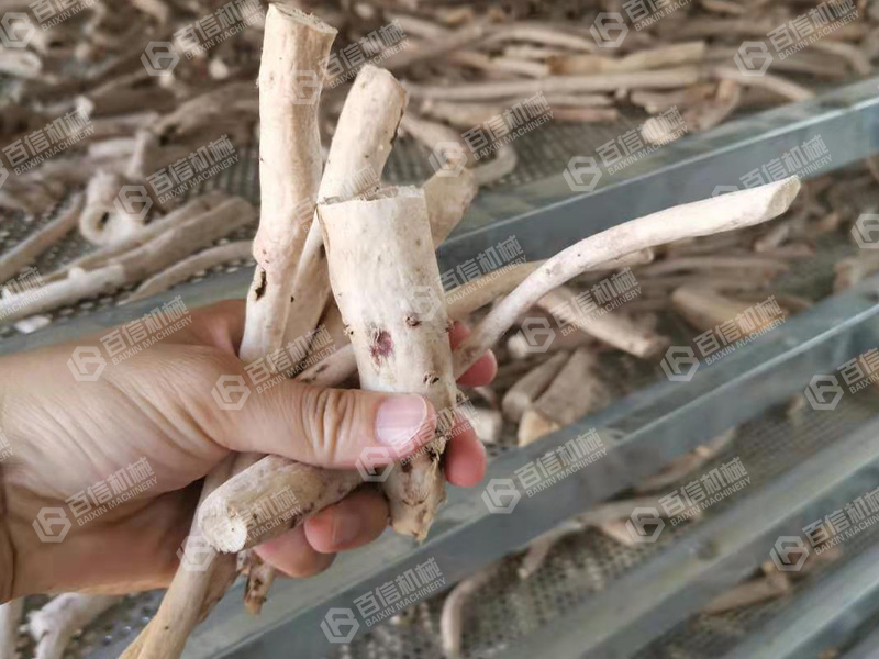 白術(shù)烘干機(jī)-白術(shù)烘干設(shè)備-白術(shù)