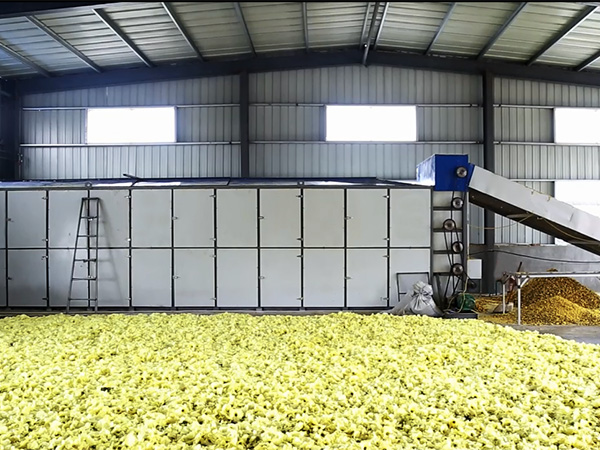 黃蜀葵烘干機(jī)-黃蜀葵烘干設(shè)備