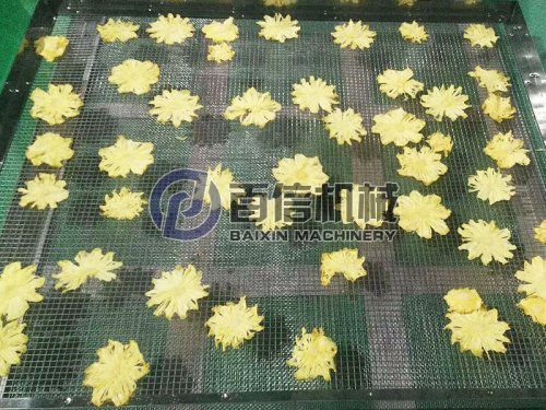 菠蘿烘干機助力解決菠蘿滯銷難題