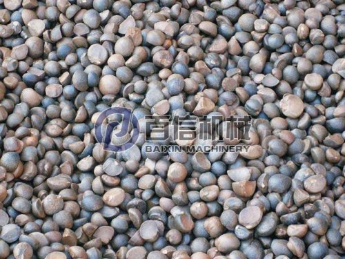 為什么使用熱風(fēng)干燥油茶籽？油茶籽加工工藝