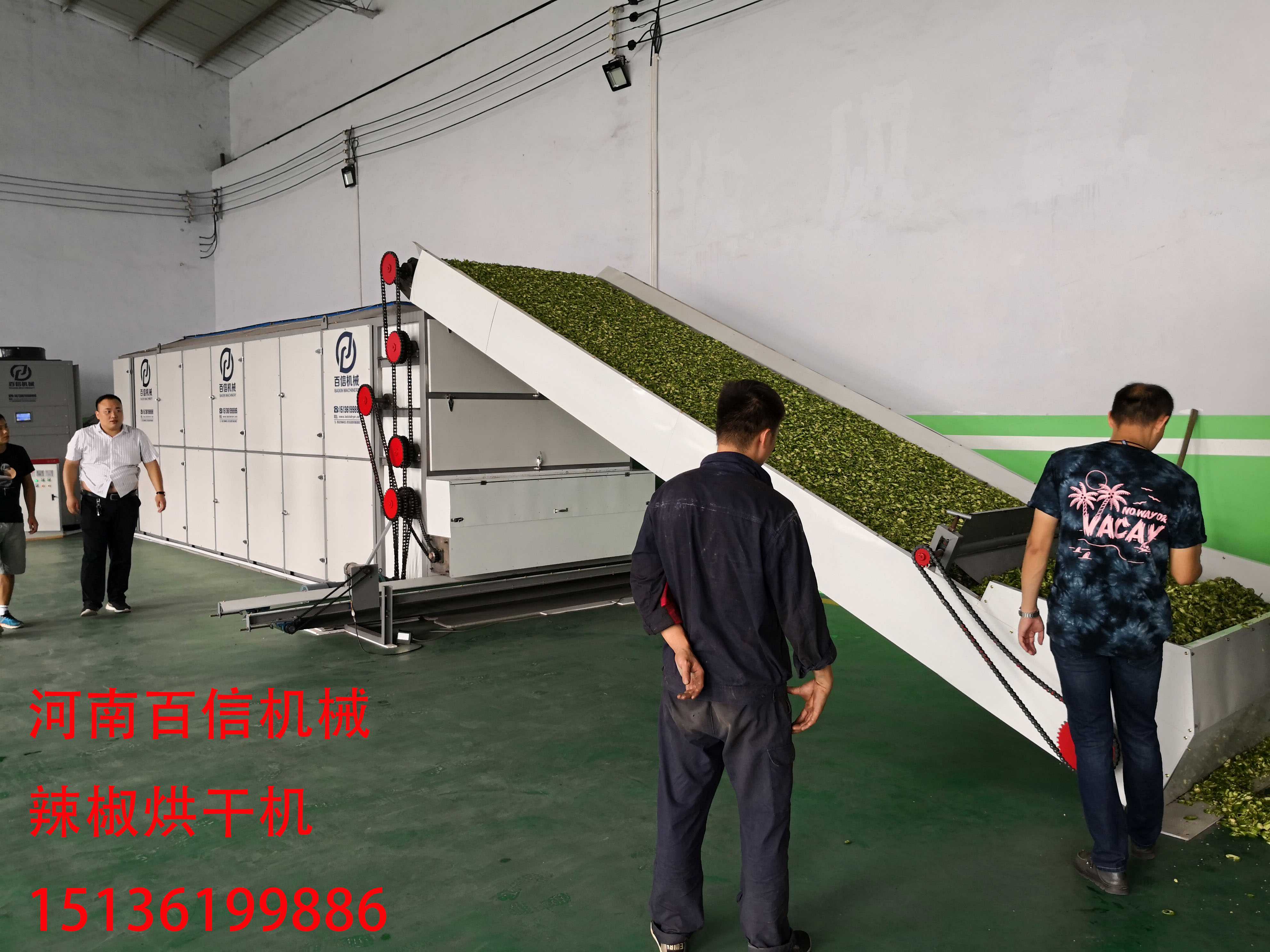 辣椒花椒網(wǎng)帶烘干機(jī)生產(chǎn)現(xiàn)場(chǎng)圖 辣椒花椒網(wǎng)帶烘干機(jī)生產(chǎn)現(xiàn)場(chǎng)圖