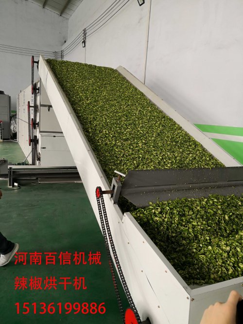 全自動辣椒烘干設(shè)備自動化生產(chǎn) 降低人力投資