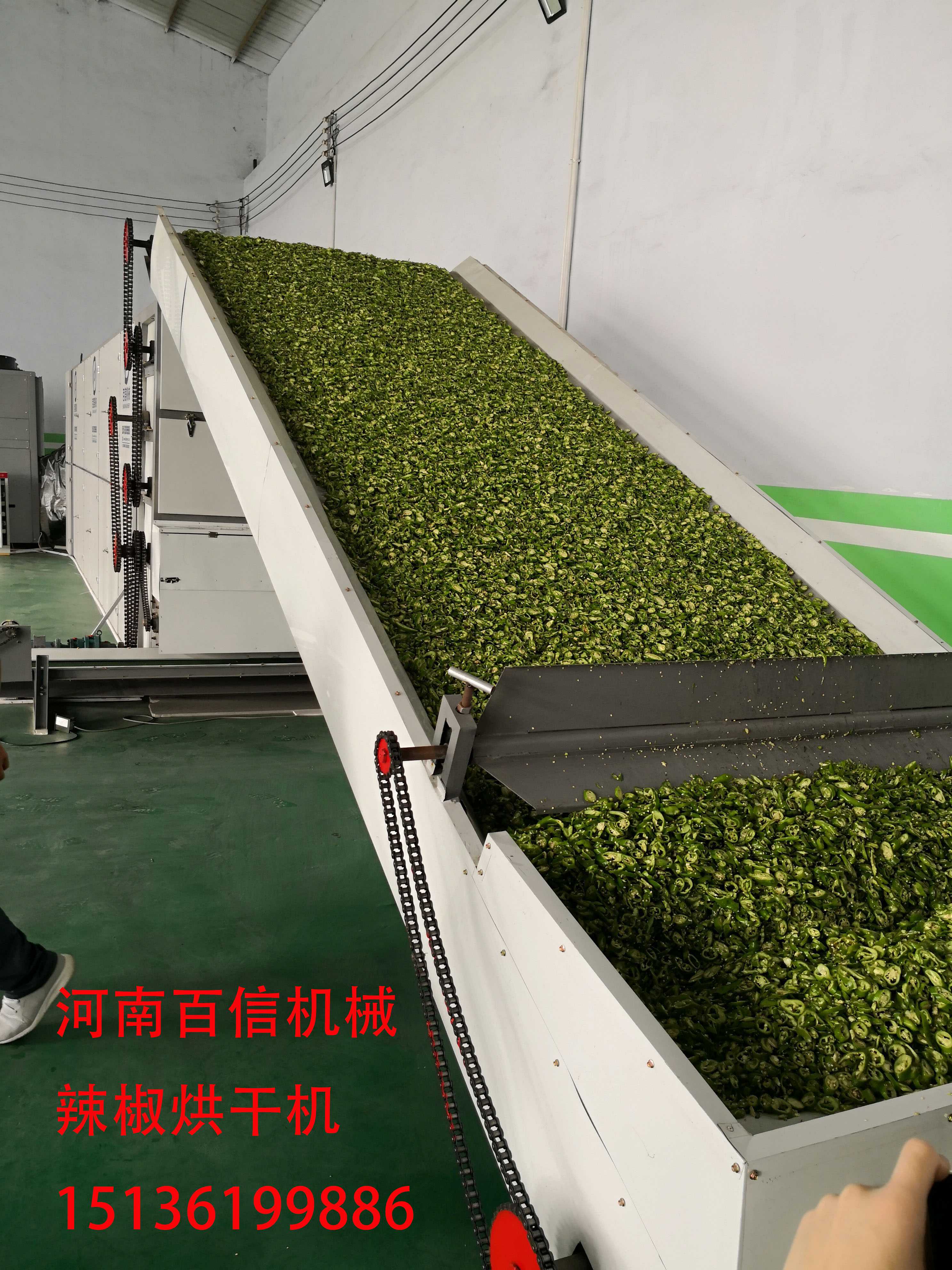 辣椒花椒網(wǎng)帶烘干機(jī)會是“新網(wǎng)紅”嗎 辣椒花椒網(wǎng)帶烘干機(jī)會是“新網(wǎng)紅”嗎