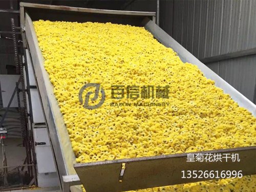 如何烘出優(yōu)質(zhì)菊花？