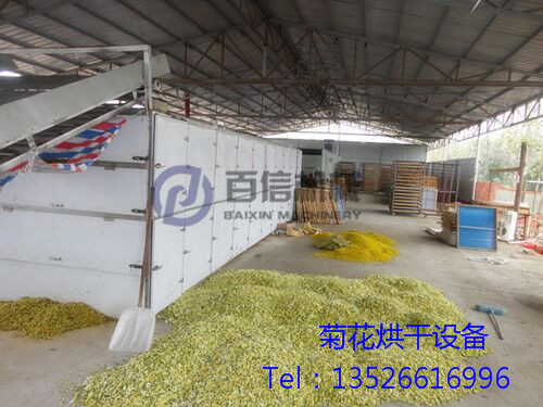 菊花烘干機