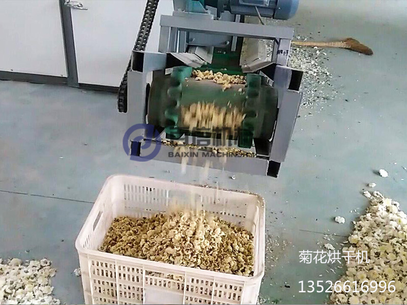 菊花烘干機(jī)