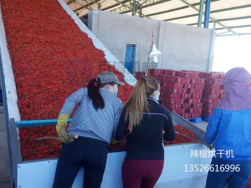百信辣椒烘干機(jī)現(xiàn)場(chǎng)案例集錦