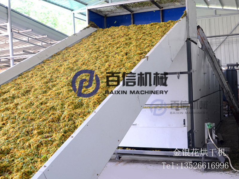 金銀花網(wǎng)帶式烘干機(jī)