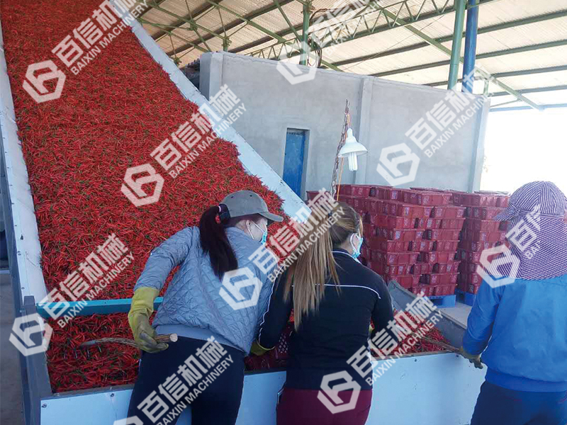 辣椒烘干機(jī)