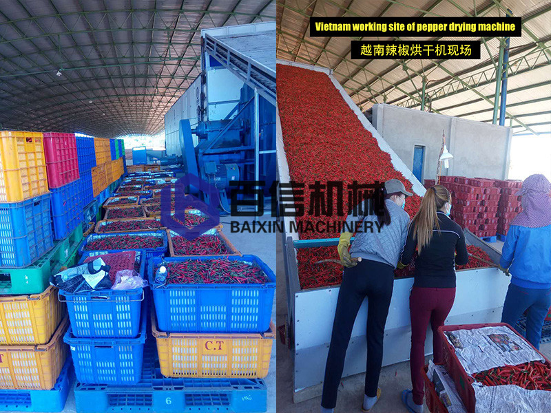 辣椒烘干機(jī)