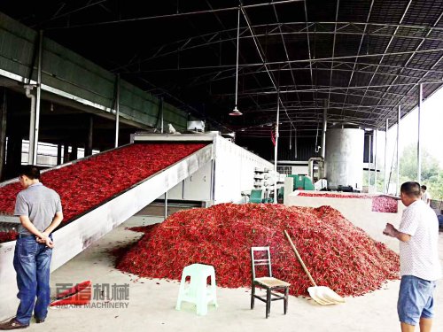 百信網(wǎng)帶辣椒烘干機