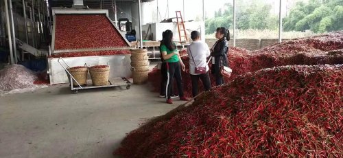 辣椒烘干機(jī)的選擇
