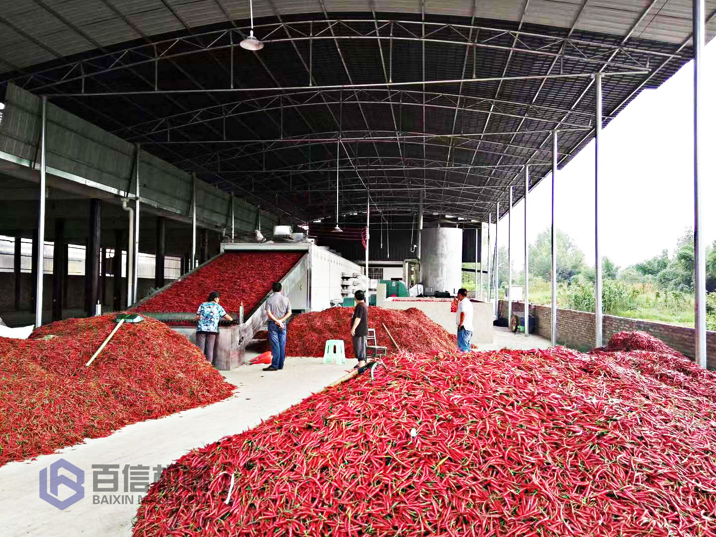 辣椒烘干機(jī) 辣椒烘干機(jī)