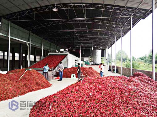 辣椒烘干機(jī)烘出來(lái)的辣椒好賣么