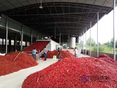 辣椒烘干機烘干辣椒時要注意什么