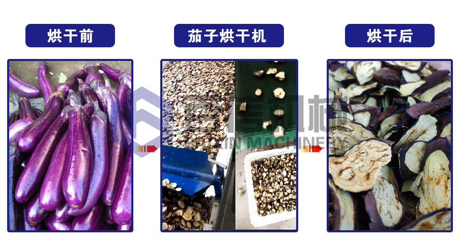 茄子烘干機
