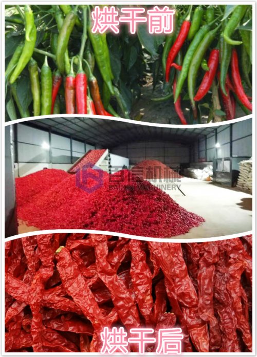 智能化大型辣椒烘干機(jī)價(jià)格是多少錢一臺(tái)？最低價(jià)格是多少？