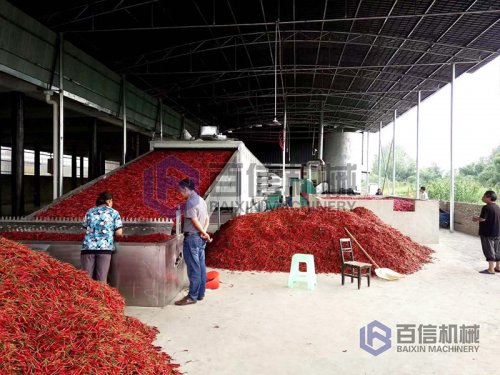 怎樣選擇辣椒烘干機？