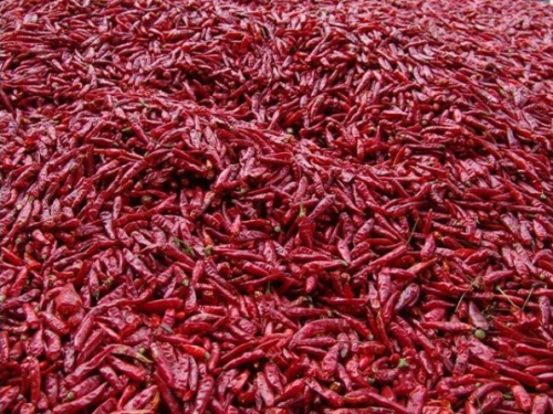 怎樣采購(gòu)合適的辣椒烘干機(jī)？