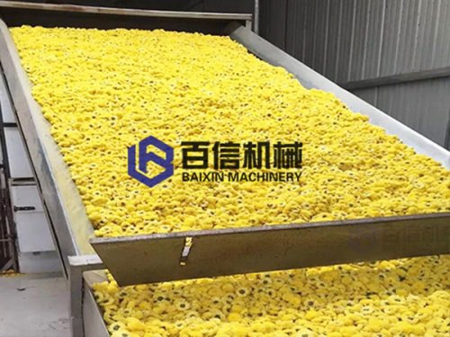 網(wǎng)帶式烘干機(jī)烘干花類有哪些優(yōu)勢(shì)？