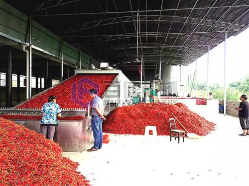 智能化自動化辣椒烘干設備，產(chǎn)量大，效率快，節(jié)省勞動力