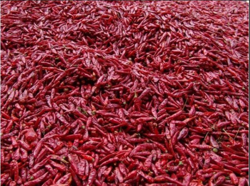 辣椒烘干機(jī)烘干溫度一般是多少度？辣椒烘干機(jī)產(chǎn)品都有多少？