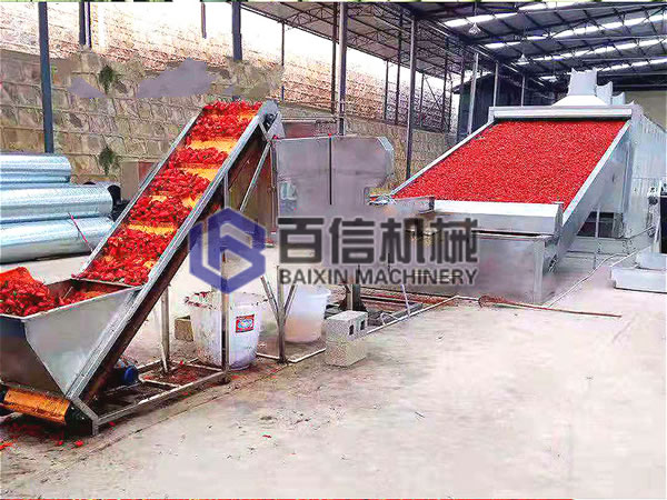 網(wǎng)帶辣椒烘干機(jī)