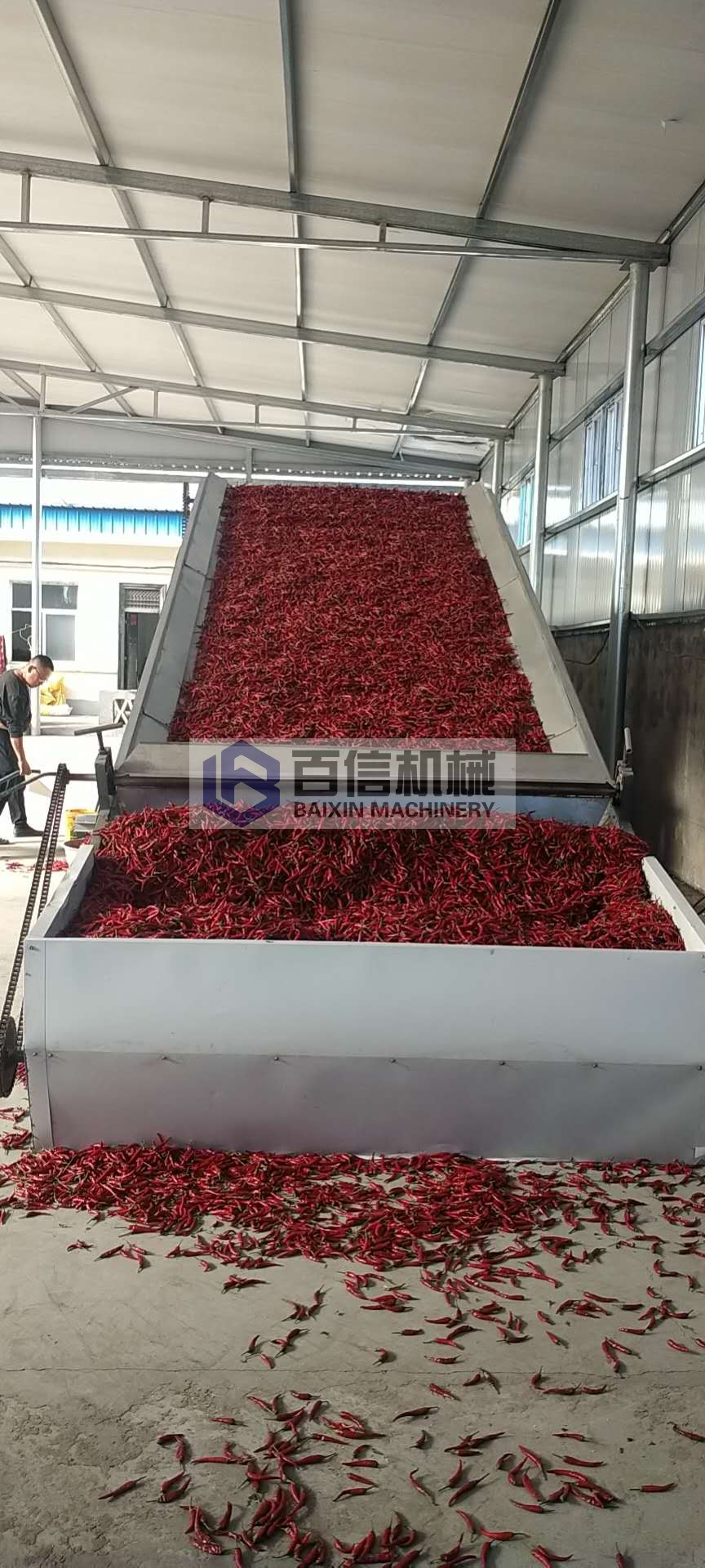 辣椒烘干機(jī)