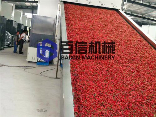 網(wǎng)帶辣椒烘干機(jī)有哪些優(yōu)勢(shì)和市場(chǎng)發(fā)展前景  